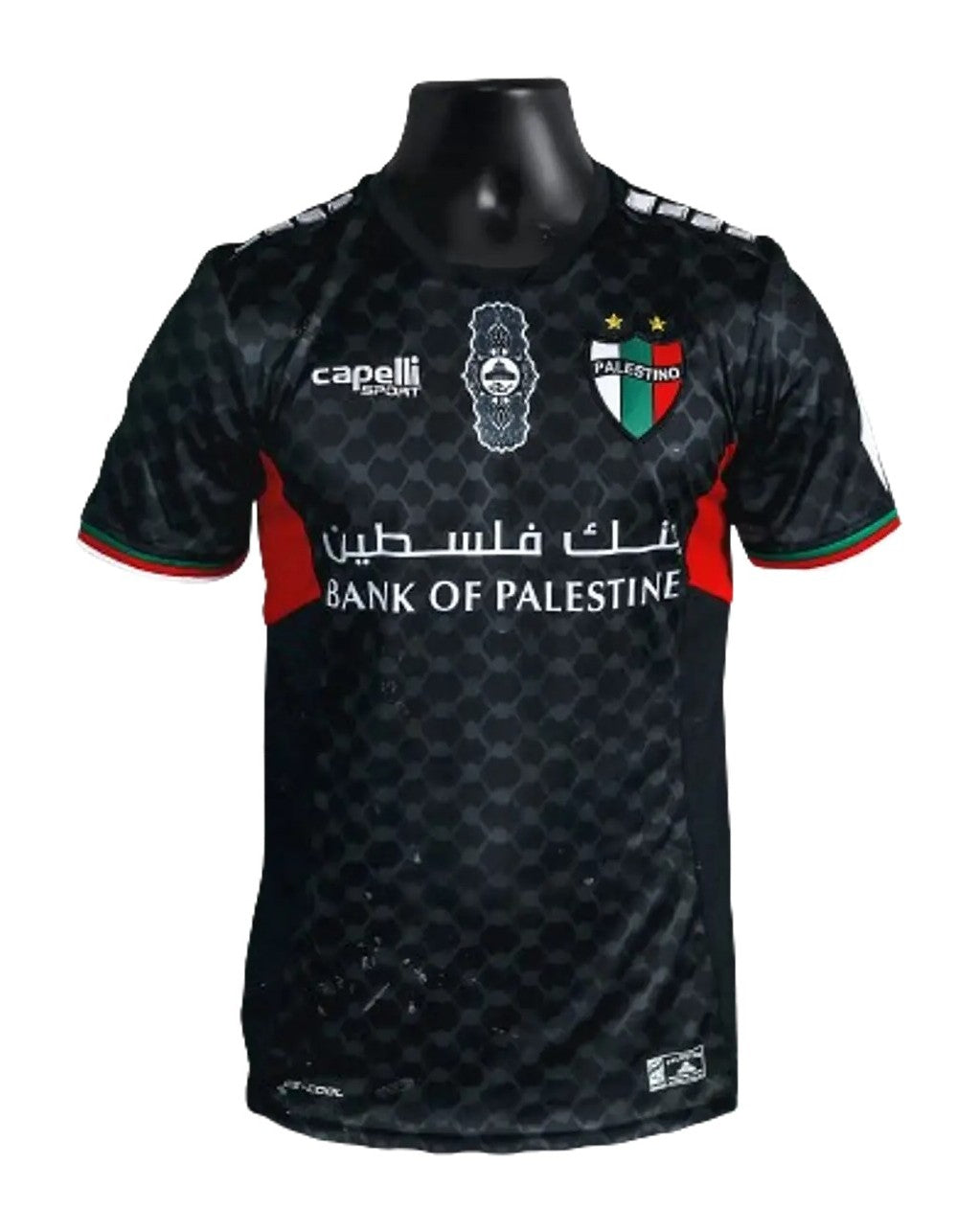 Camiseta Club Deportivo Palestino local 2024 vista sobre fondo blanco