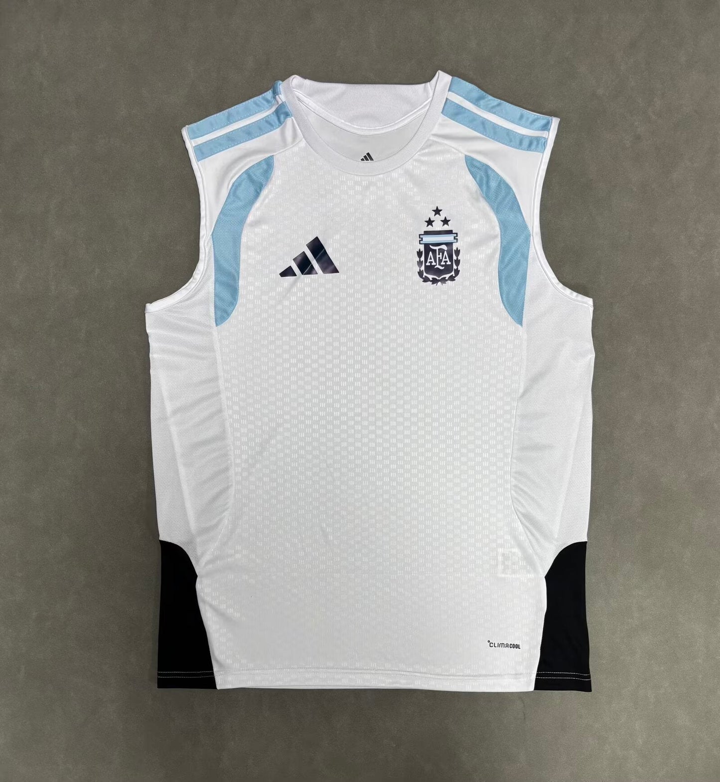 Argentina Polo Training 2025/2026