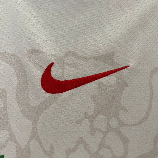 Camiseta Local Nigeria 24/25