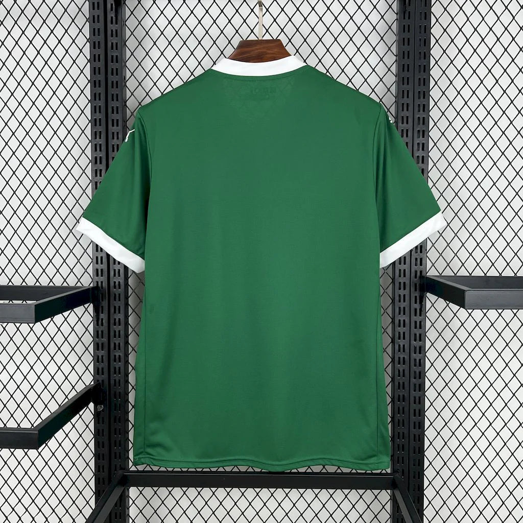 Camiseta Local Palmeiras 25/26