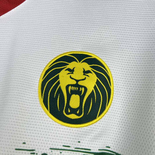 Camiseta Camerún 25/26