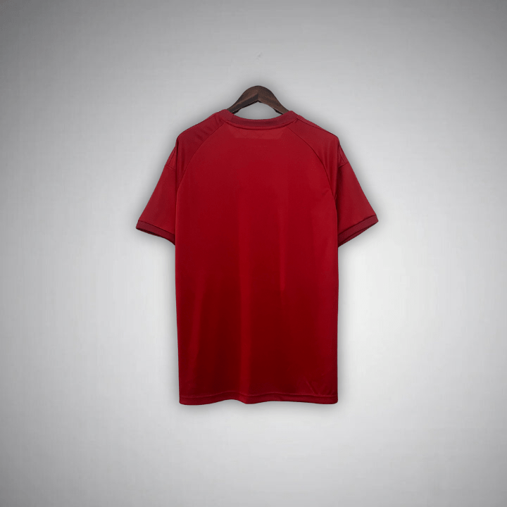 Camiseta FC Bayern "Bavarian Titan" Ed. Especial