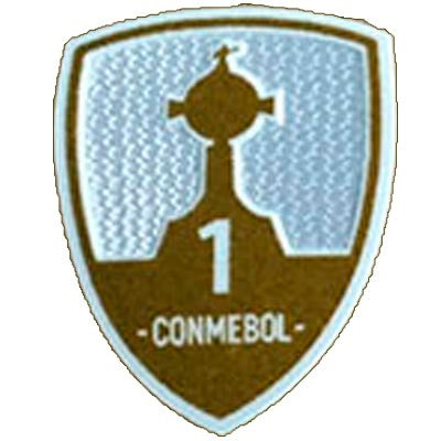 Parches Copa Libertadores vista sobre fondo blanco