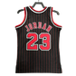 Camiseta Chicago Bulls retro 1995/1996