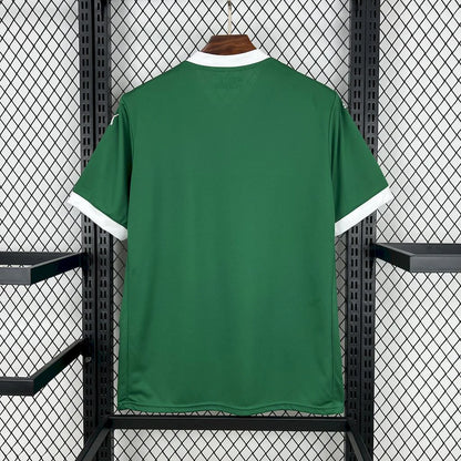 Camiseta Local Palmeiras 25/26