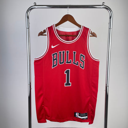 Chicago Bulls 08/09
