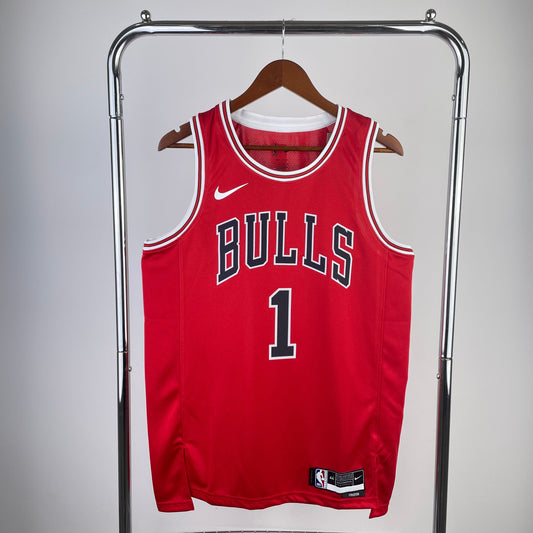 Chicago Bulls 08/09