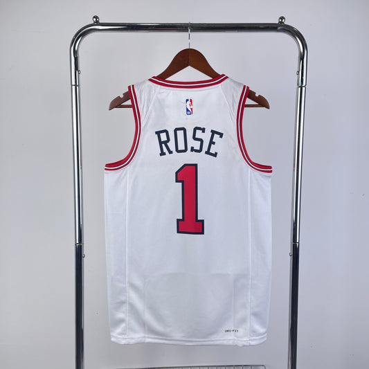 Chicago Bulls 09/10