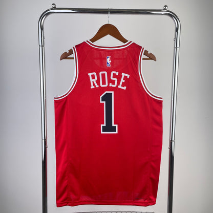 Chicago Bulls 08/09