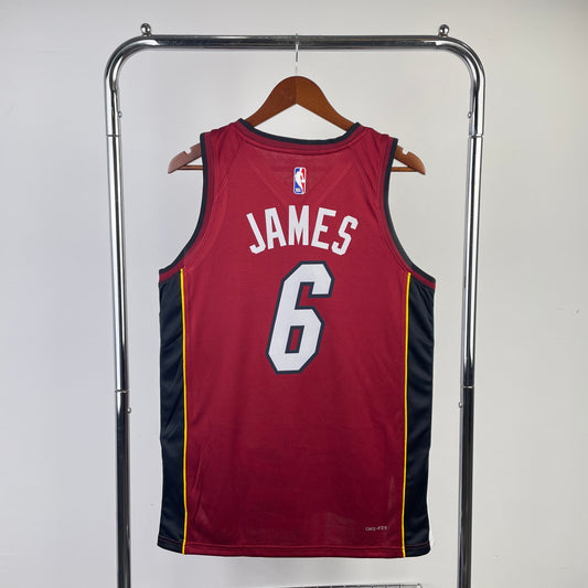 Miami Heat 10/11