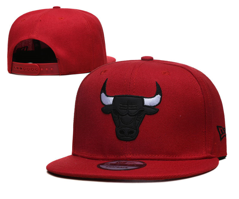 Gorro NBA Chicago Bulls dark bull