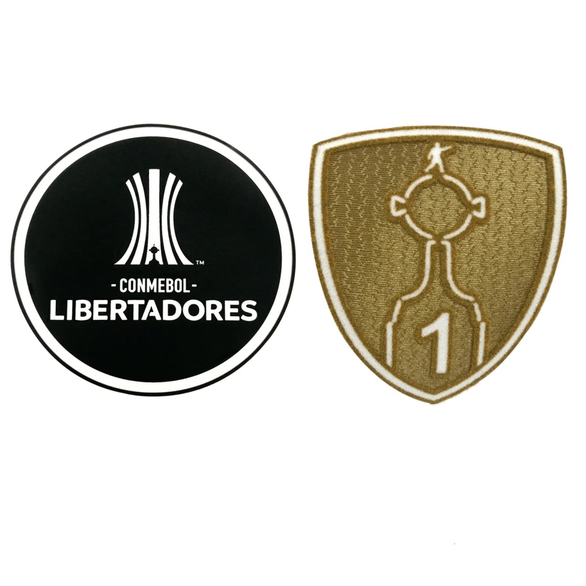 Copa Libertadores 1 vista sobre fondo blanco