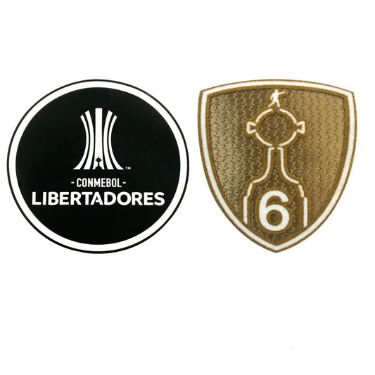 Copa Libertadores 6